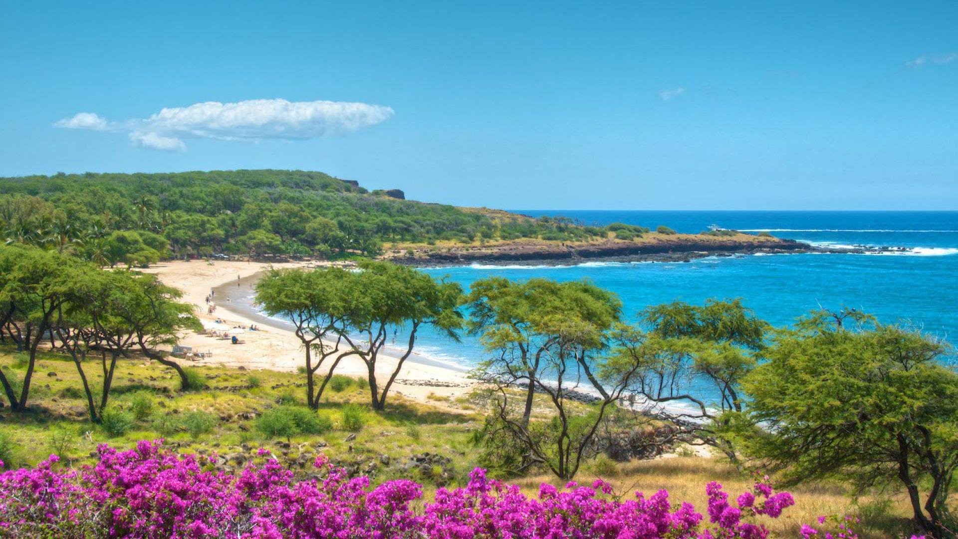 LANAI, HI